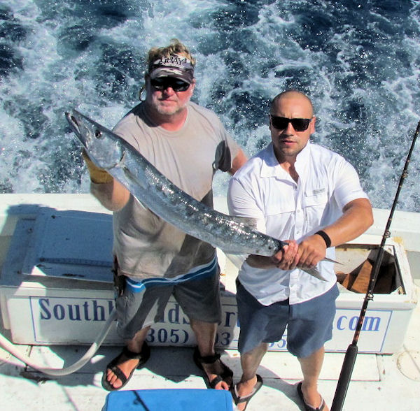 Barracuda caught and released in Key West fishing on charter boat Soutbound