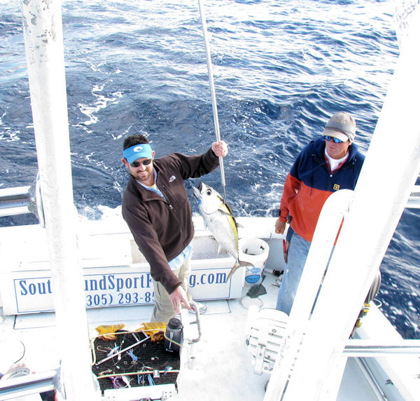 Black Fin tuna caught in Key West fishing on Charter Boat Southboud