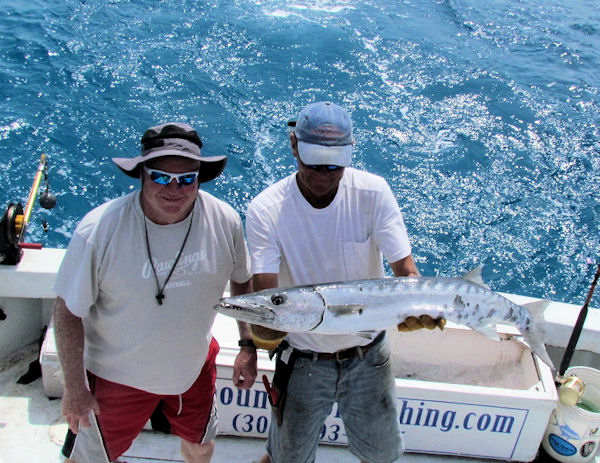 Barracuda caught and released in Key West fishing on charter boat Southbound
