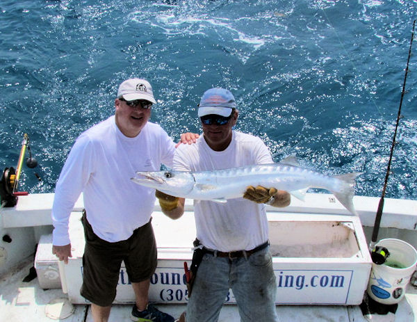 Barracuda caught and released in Key West fishing on charter boat Southbound