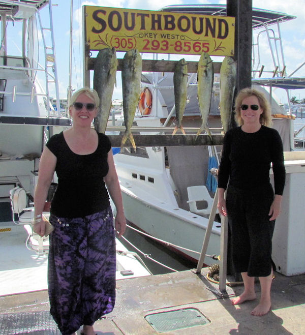 Dolphin caught in Key West fishing on the Chater Boat Southbound