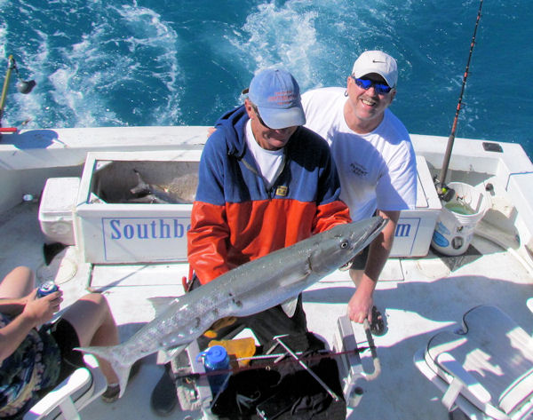 Barracuda caught and released in Key West fishing on charter boat Southbound