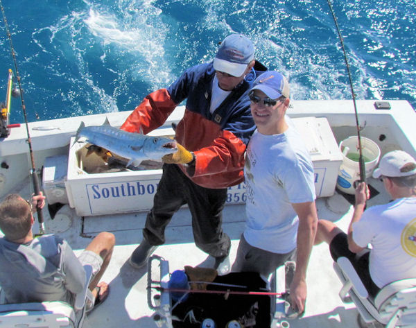 Barracuda caught and released in Key West fishing on charter boat Southbound