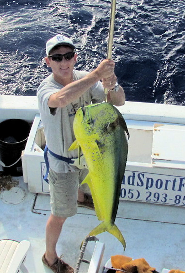 Big dolphin caught in Key West fishing on charter boat Southbound