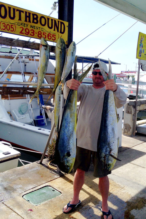 Dolphin caught in Key West fishing on charter boat Southbound