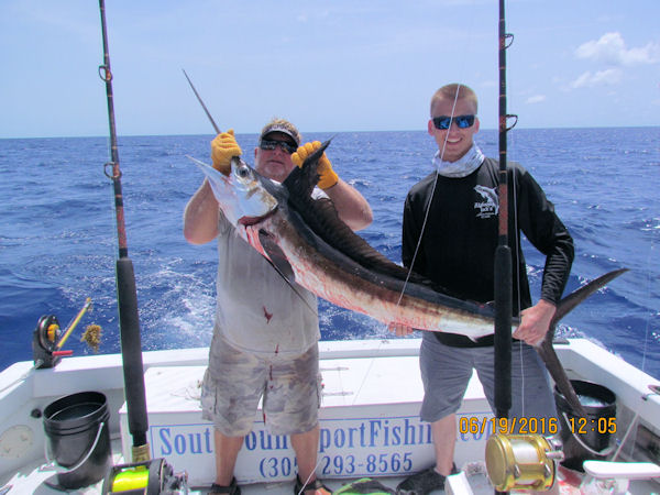 White Marlin caugth and released in Key West on charter Boat Southbound