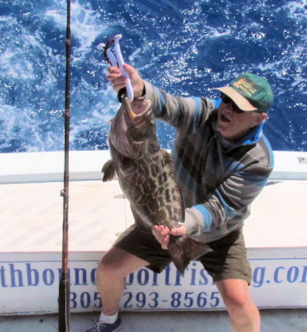 Black Grouper caught and released in Key West fishing on charter boat Southbound