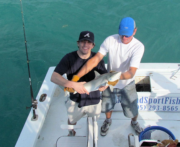 Shark caught and released fishing Key West on charter boat Southbound from Charter Boat Row Key West