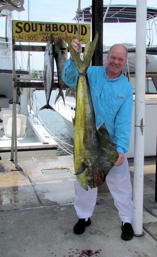 Bull Dolphin caught in Key West Fishing on charter boat Southbound