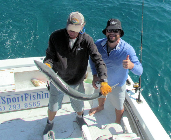 Barracuda caught and released in Key West fishing on charter boat Southbound