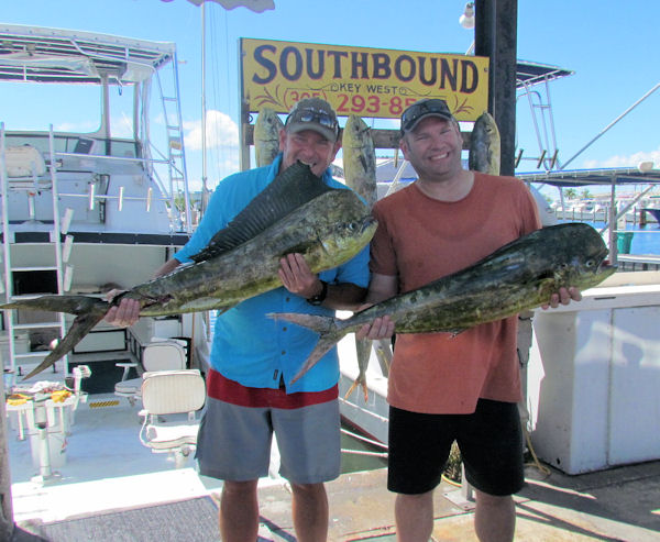Bulll Dolphin caught in Key West Fishing on Charter Boat Southboun