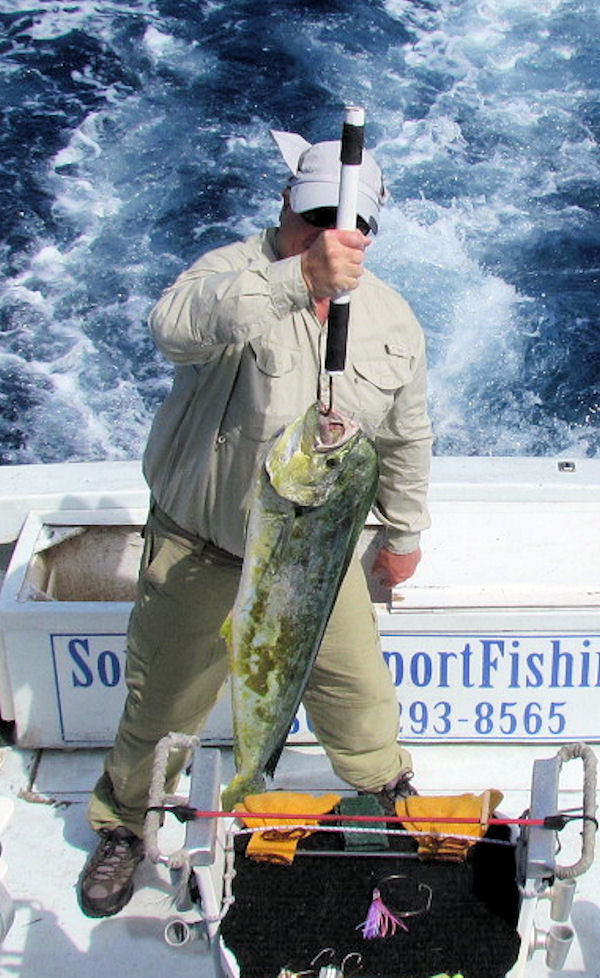 20 lb Dolphincaught in Key West fishing on charter boat Southbound