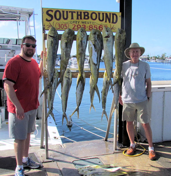 Dolphin caught in Key West fishing on charte boat Southbound
