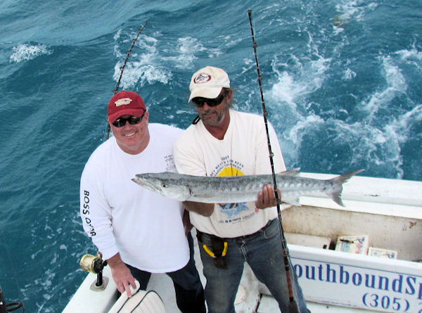 Barracuda caught and released in Key West fishing on charter boat Southbound