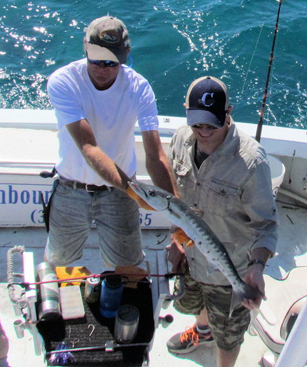 Barracuda caught and released in Key West fishing on charter boat Southbound