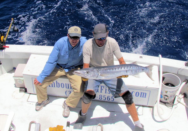Barracuda caught in Key West fishing on charter boat Southbound