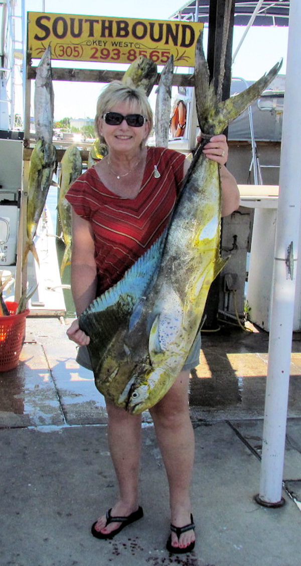 30 lb dolphin caught in Key West fishing on charter boat Southbound