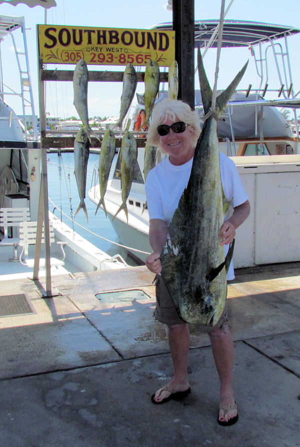 24lb Dolphin caught in Key West fishing on charter boat Southbound
