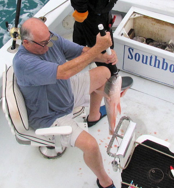 Mutton Snapper caught in Key West fishing on charter boat Southbound, Key West