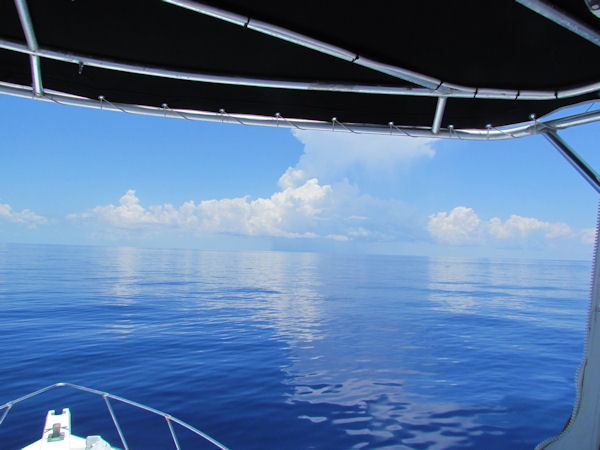 beautiful day in Key West fishing on charter boat Southbound