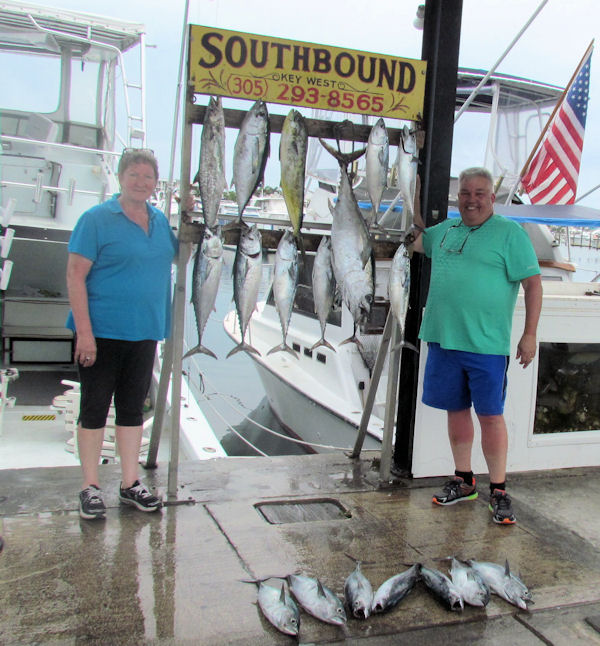 Tuna, Bonitos and A Dolphin caught in Key West fishing on Key West charterboat Southbound