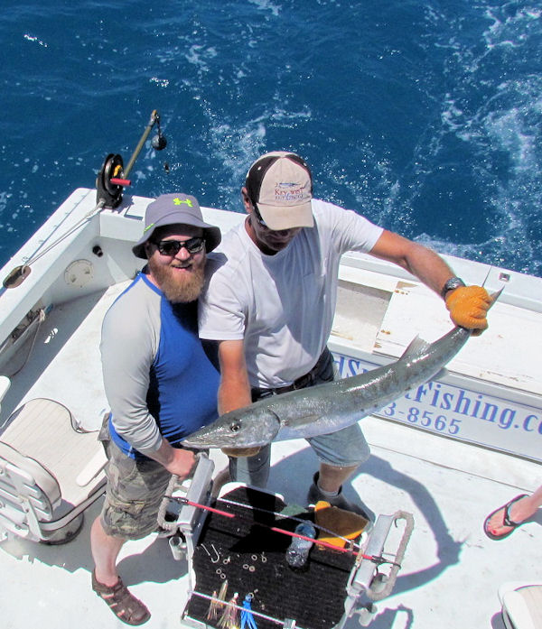 Barracuda caught and released in Key West fishing on charter boat Southbound