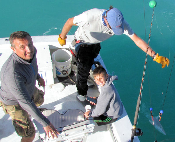 shark caught and released in Key West fishing on charte boat Southbound