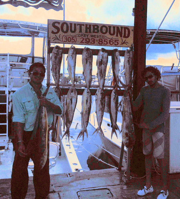 Schoolie Dolphin caught on the Charter Boat Southbound while fishing Key West Waters