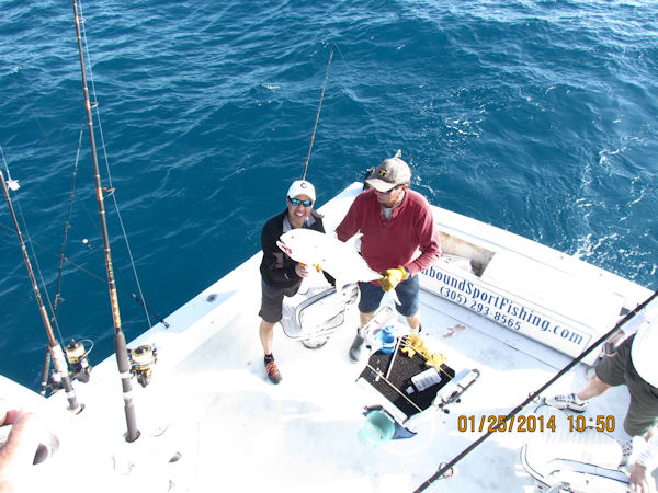 Cravalle Jack caught in Key West fishing on Charter Boat Southboud