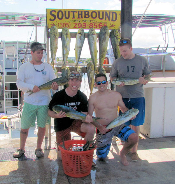 Dolphin caught in Key West fishing on charter boat Southbound