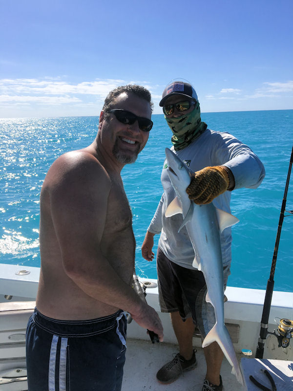 Small shark caught and released in Key West fishing on charter boat Southbound