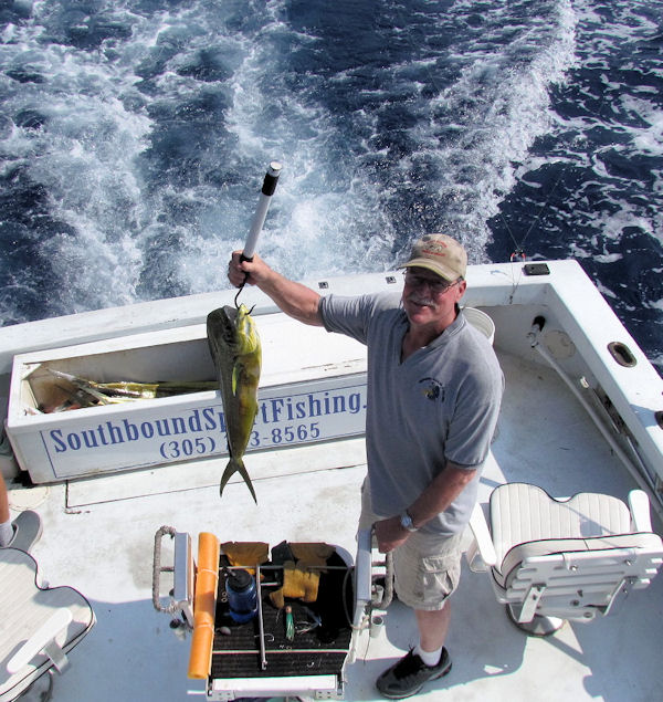 Dolphin caught in Key West fishing on charter boat Southbound