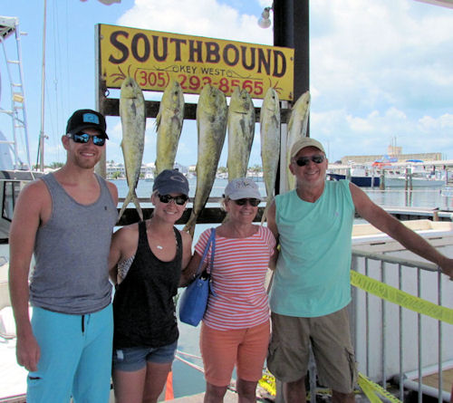 Dolphin caught in Key West fishing on charter boat Southbound