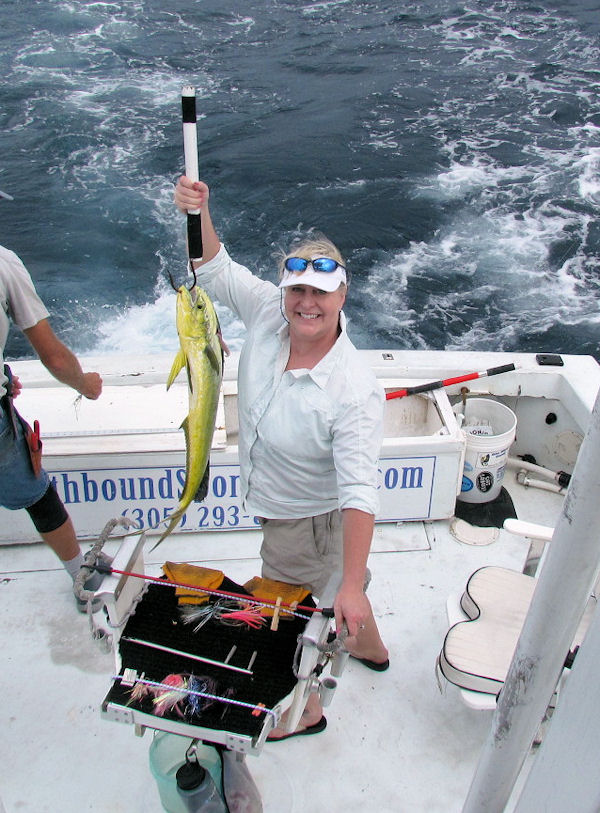 Dolphin caught in Key West fishing on charter boat Southbound