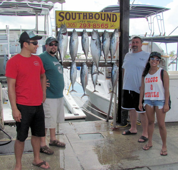 Bonitos caught on the Charter Boat Southbound while fishing Key West Waters