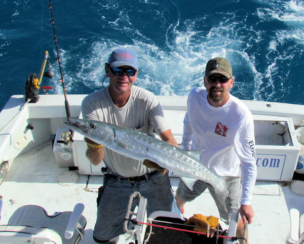 Barracuda caught and released in Key West fishing on charter boat Southbound