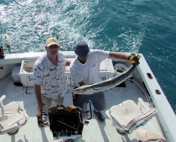 Barracuda caught and released in Key West fishing on charter boat Southbound