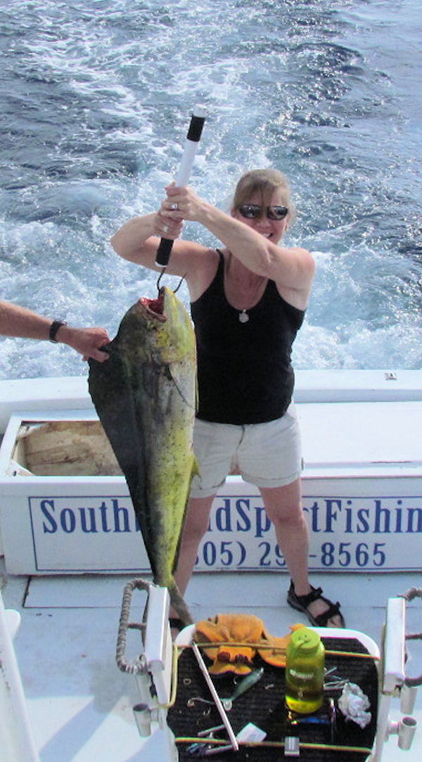 Dolphin caught in Key West fishing on Charter Boat Southboud