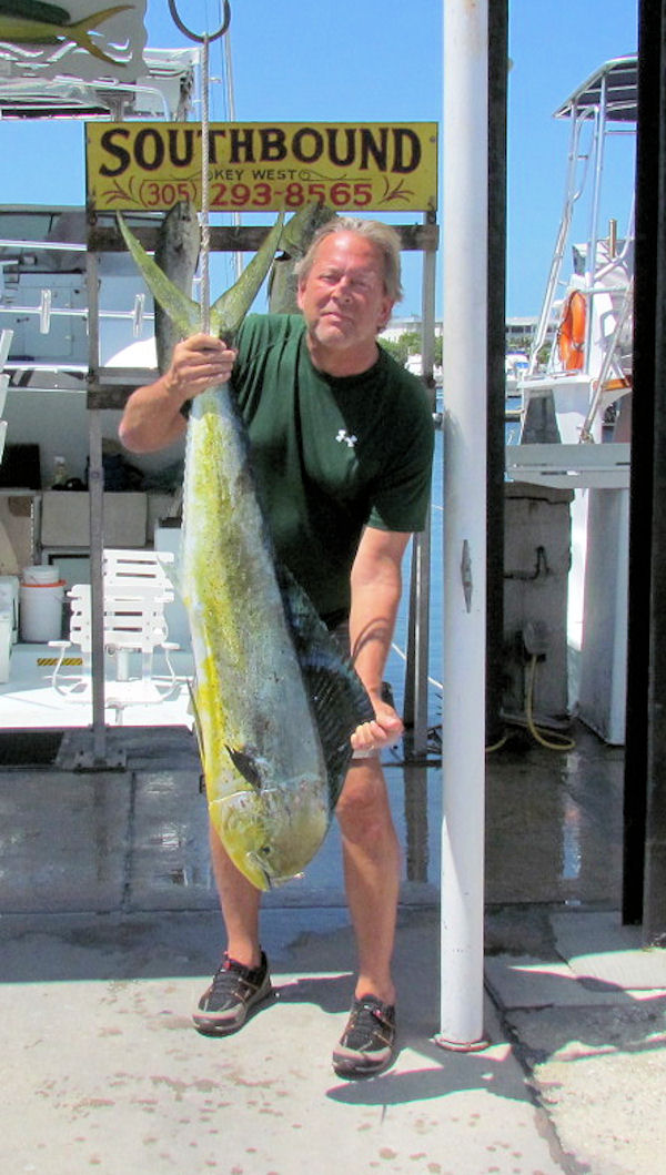 Big Dolphin caught fishing Key West on charter boat Southbound