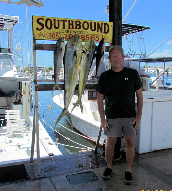 Dolphin caught fishing Key West on charter boat Southbound
