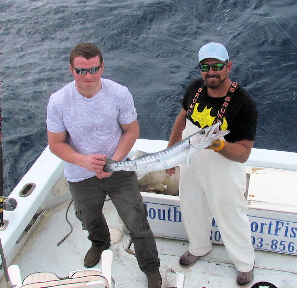 Barracuda caught in Key West fishing on charter boat Southbound