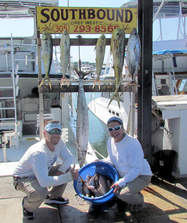Tuna, Snapper and Dolphin