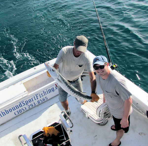 Barracuda caught in Key West fishing on Charter Boat Southbound