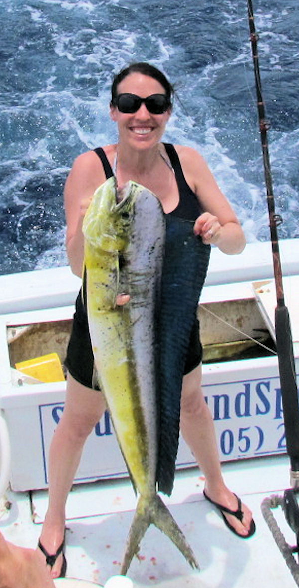Big dolphin caught fishing Key West on Key West Charter Boat Southbound