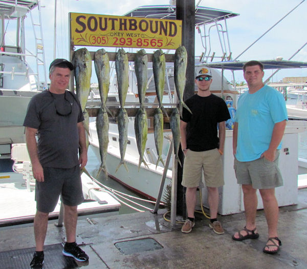 Good catch of dolphin caught fishing Key West on Key West Charter Boat Southbound