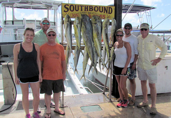 Good catch of dolphin caught on charterboat Southbound while fishing Key West