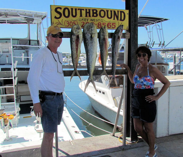 Dolphin caught fishing Key West on charter boat Southbound
