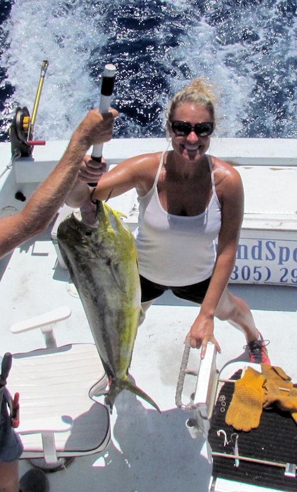 Big dolphin caught on charterboat Southbound while fishing Key West