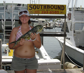 Dolphin caught fishing Key West on Charter Boat Soutbhound