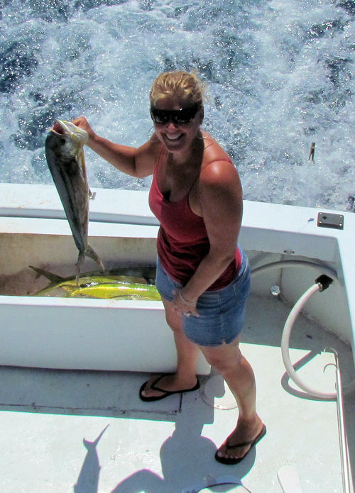 dolphin caught in Key West fishing on charter boat Southbound